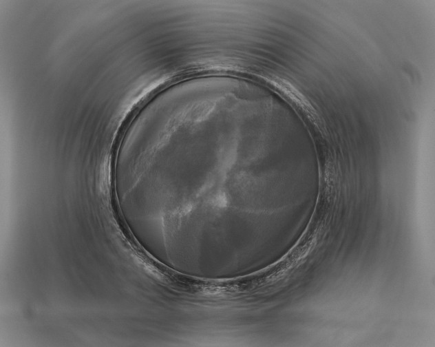 X0000112960790200909101631