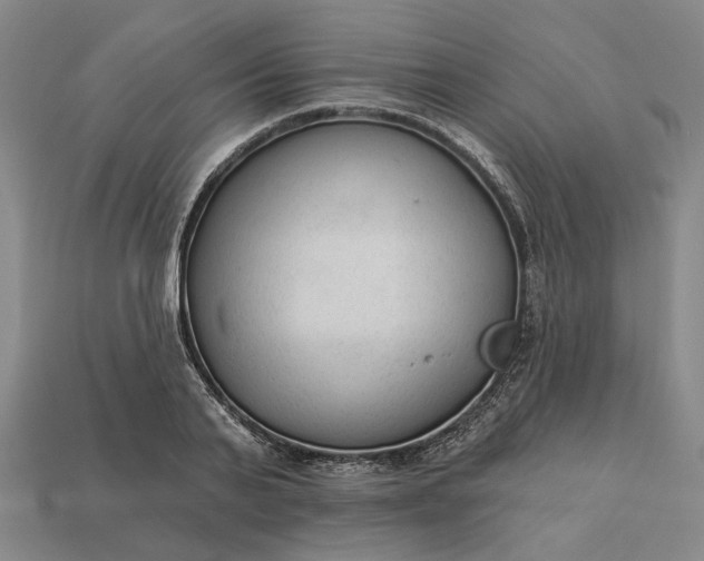 X0000112960791200909101631