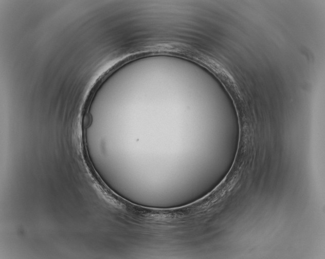 X0000112960792200909101631