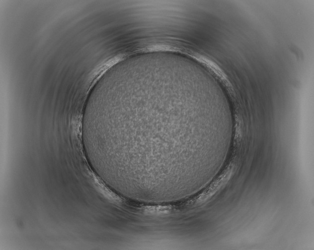 X0000112960793200909101631