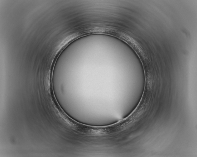 X0000112960794200909101631