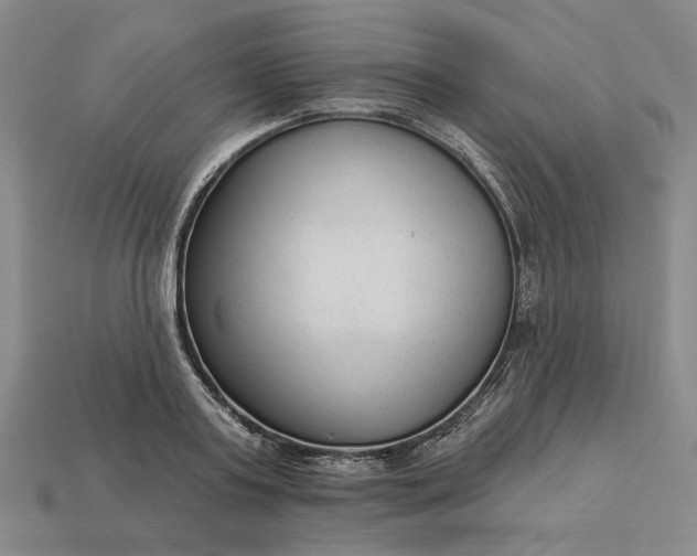 X0000112960795200909101631