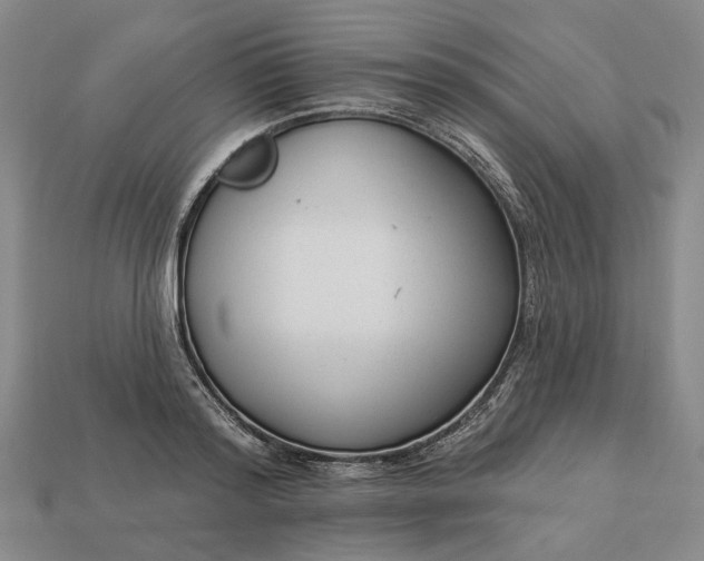 X0000112960796200909101631