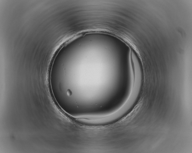 X0000112960797200909101631