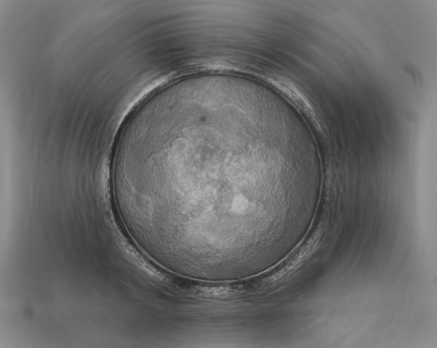 X0000112960798200909101631