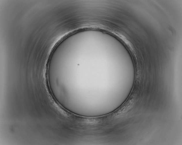 X0000112960799200909101631