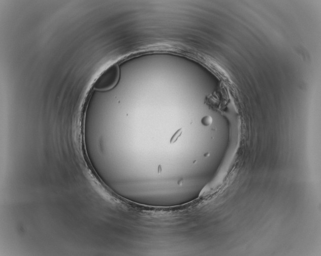 X0000112960800200909101631