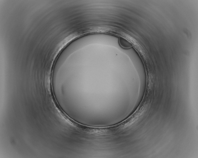 X0000112960802200909101631