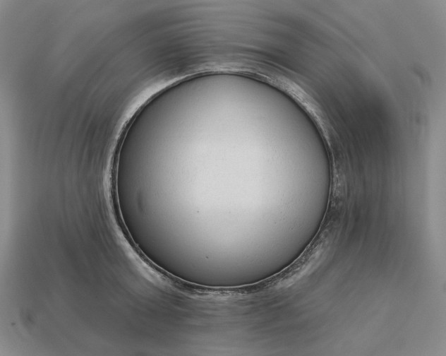 X0000112960803200909101631