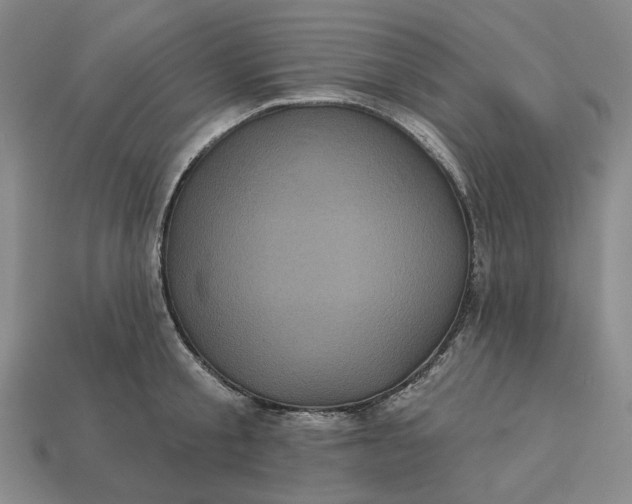 X0000112960805200909101631