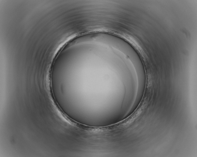 X0000112960806200909101631