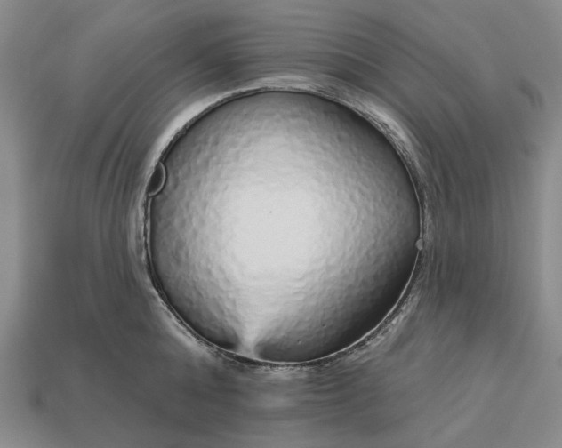 X0000112960808200909101631