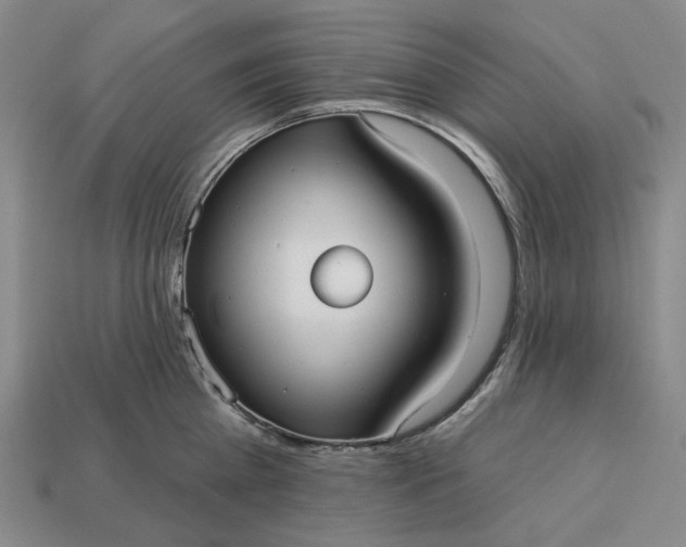 X0000112960809200909101631