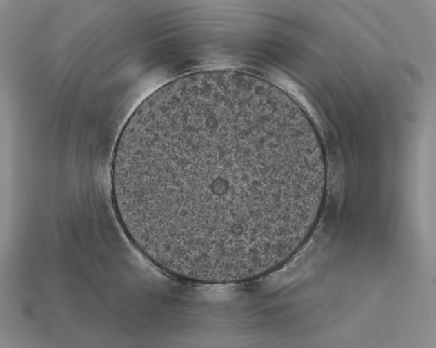 X0000112960810200909101631