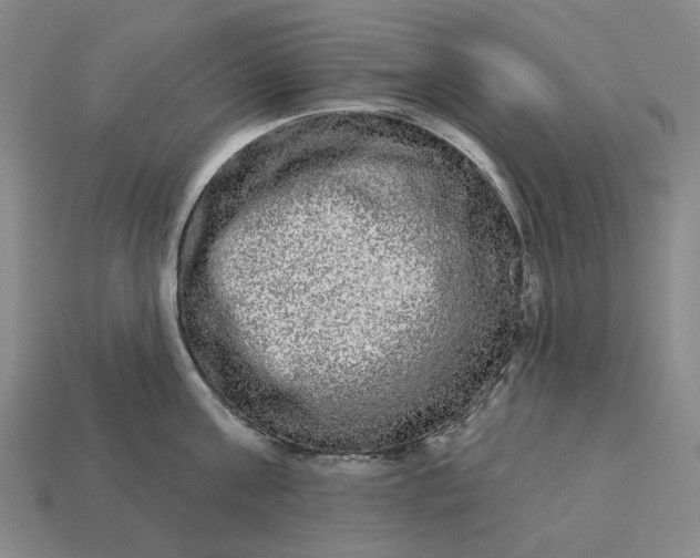 X0000112960811200909101631