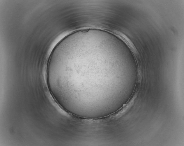 X0000112960812200909101631