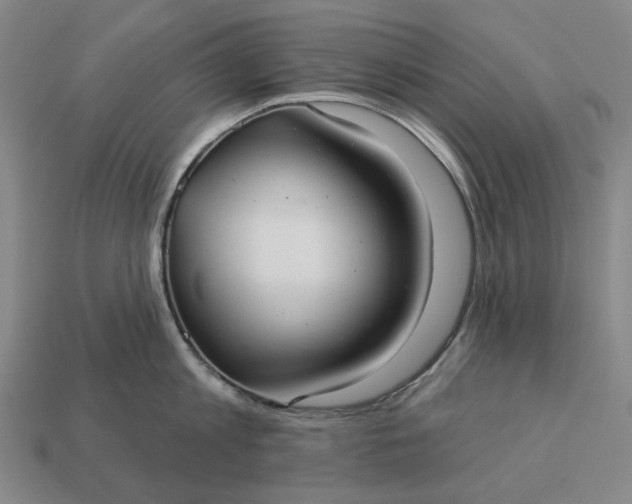 X0000112960813200909101631