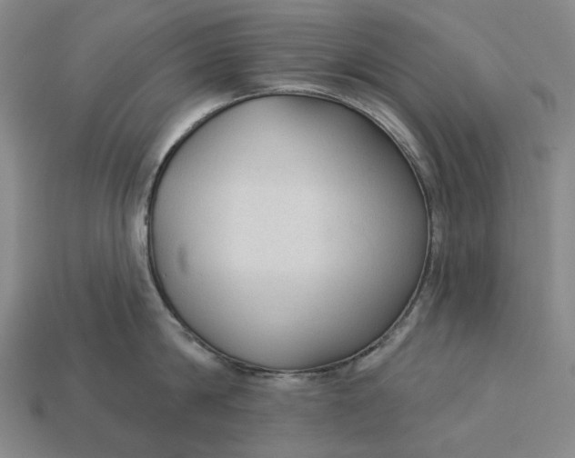 X0000112960814200909101631