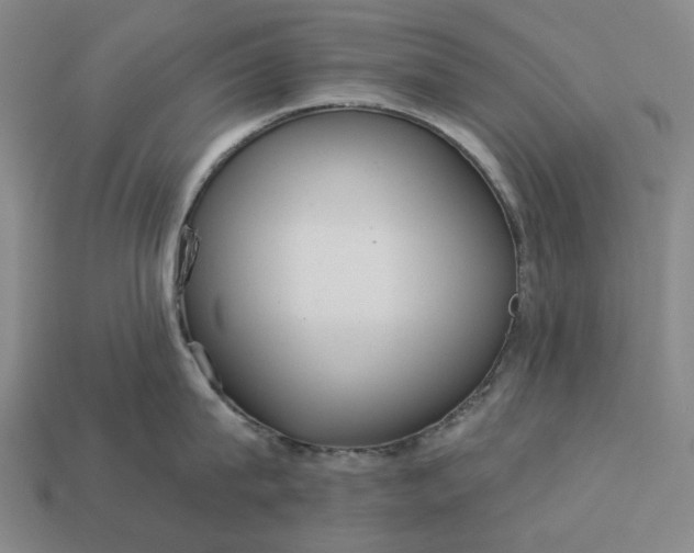 X0000112960815200909101631