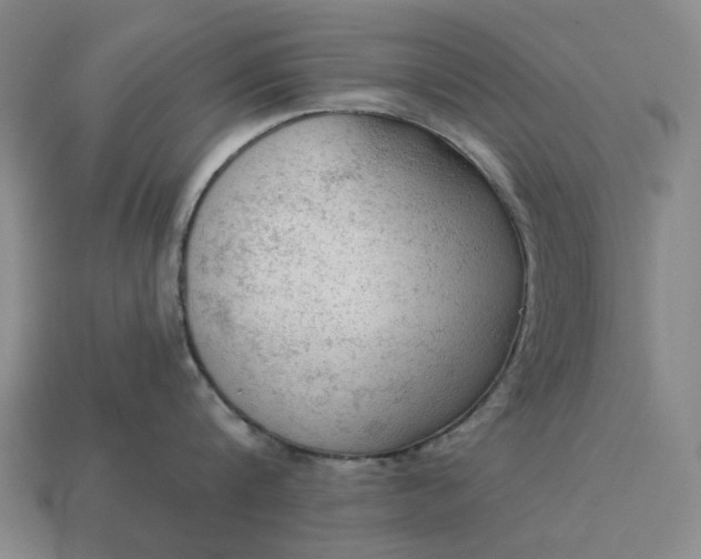 X0000112960816200909101631