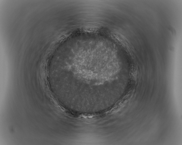 X0000112960817200909101630