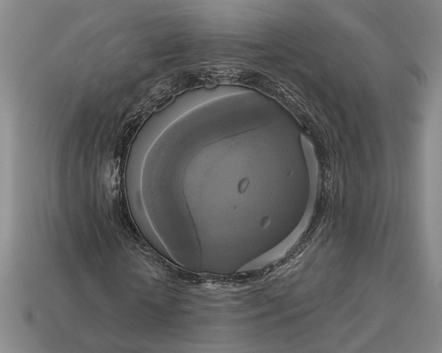 X0000112960818200909101630