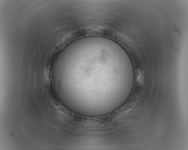 X0000112960819200909101630