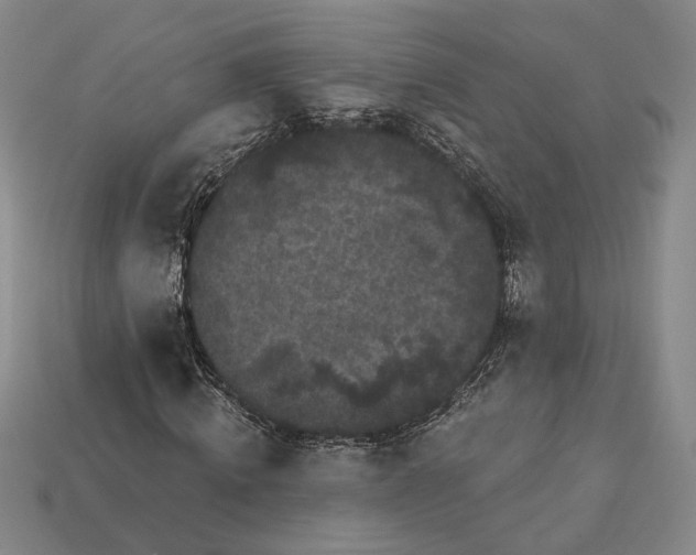 X0000112960820200909101630