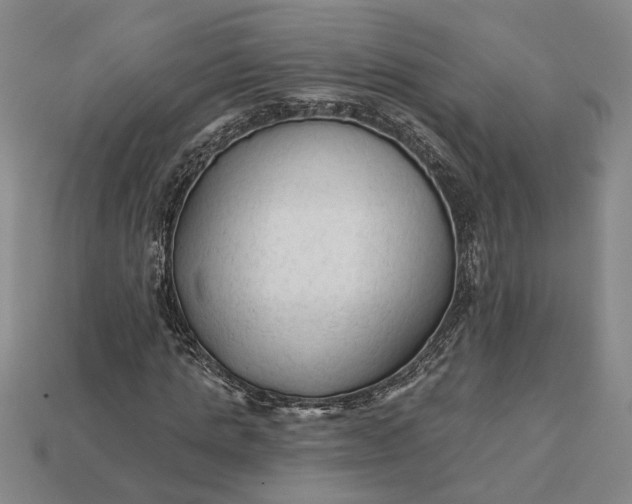 X0000112960821200909101630