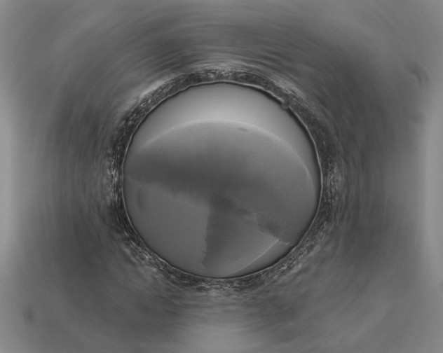 X0000112960822200909101630