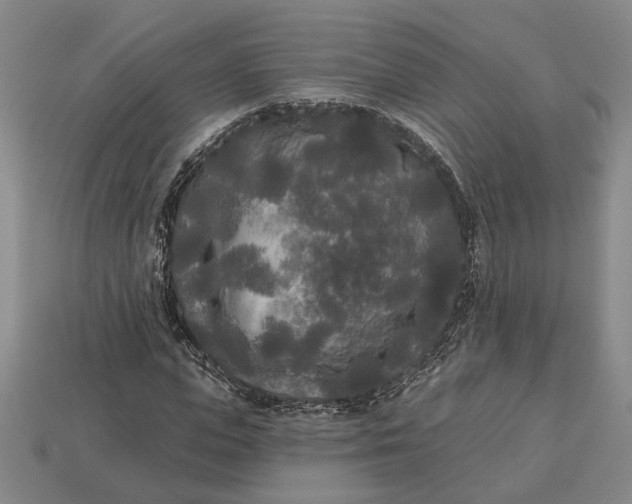 X0000112960823200909101630