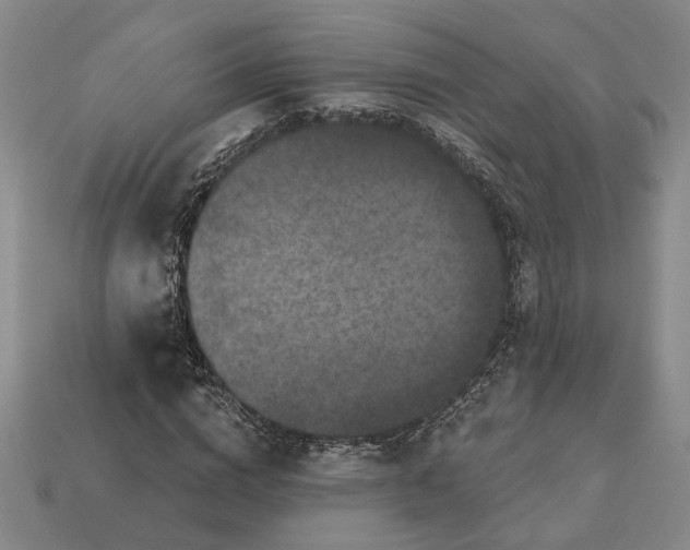 X0000112960824200909101630