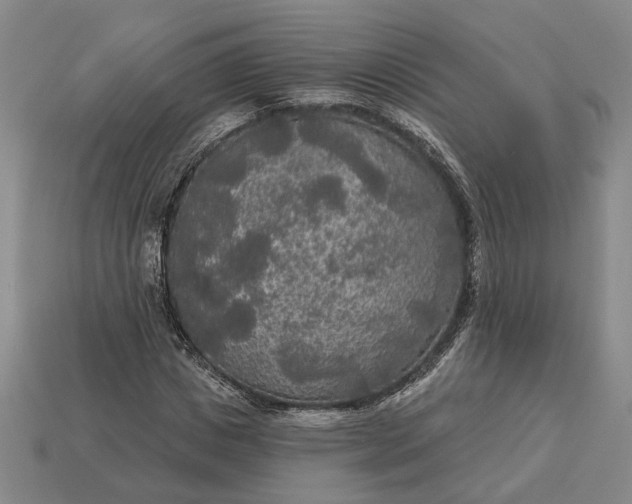 X0000112960825200909101630