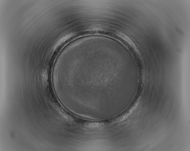 X0000112960826200909101630