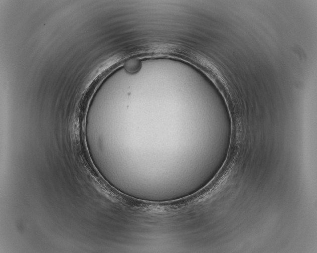 X0000112960827200909101630