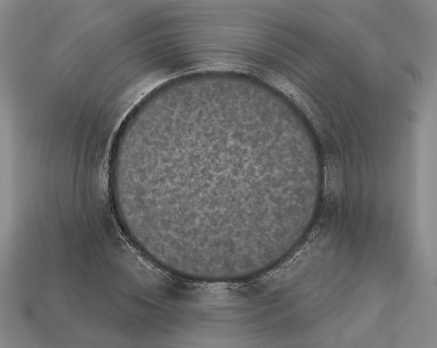 X0000112960828200909101630