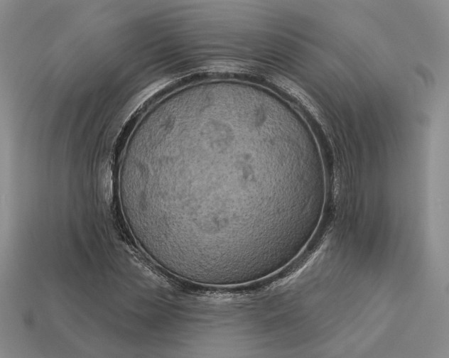 X0000112960829200909101630