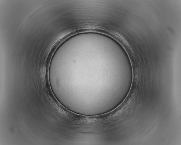 X0000112960831200909101631