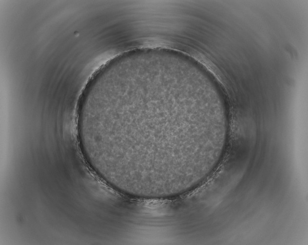 X0000112960832200909101631