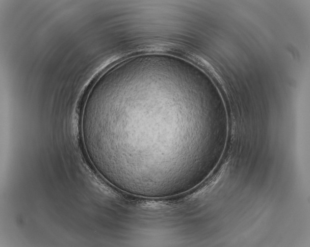 X0000112960835200909101631