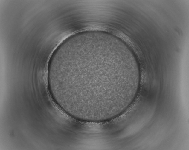 X0000112960836200909101631