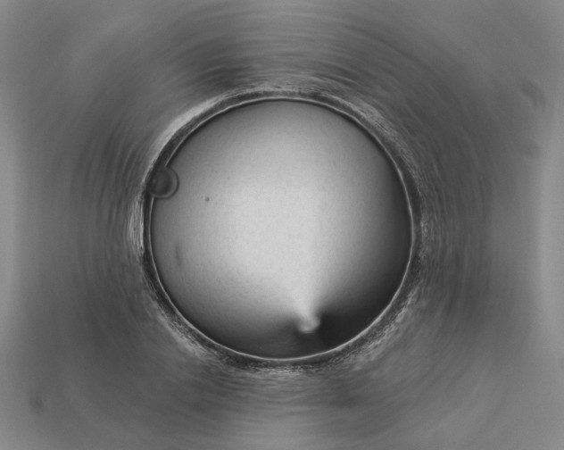 X0000112960838200909101631