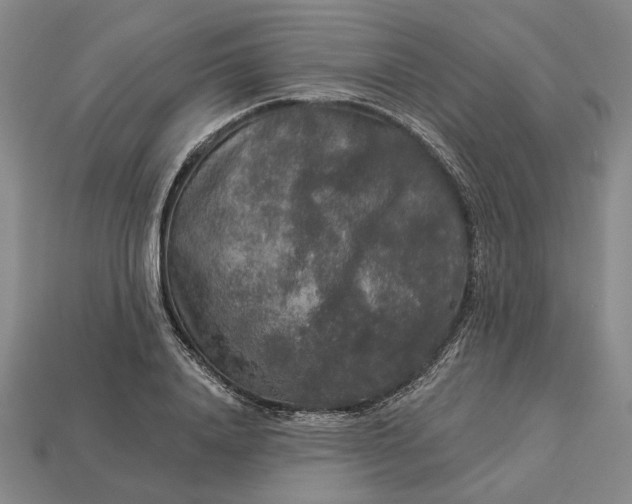 X0000112960840200909101631