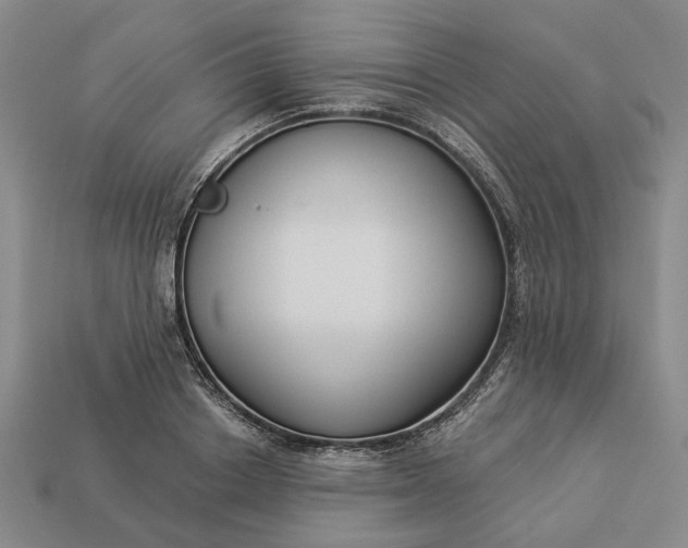 X0000112960842200909101631