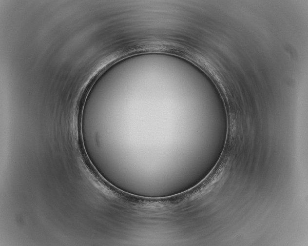 X0000112960843200909101631