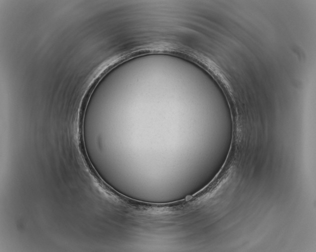 X0000112960845200909101631