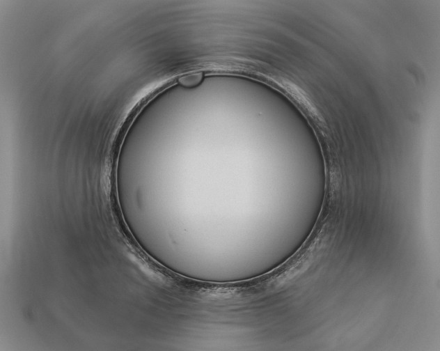 X0000112960846200909101631