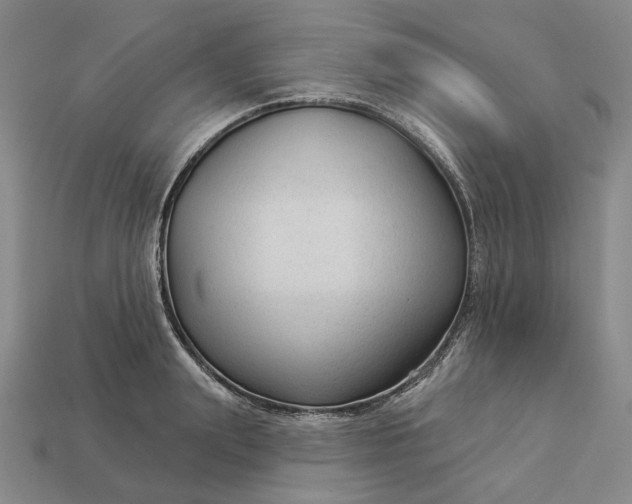 X0000112960847200909101631