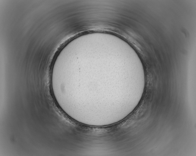 X0000112960848200909101631