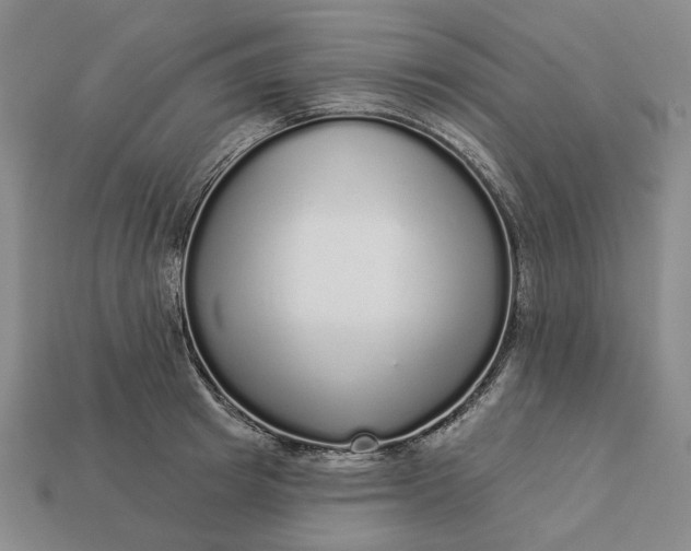 X0000112960849200909101631